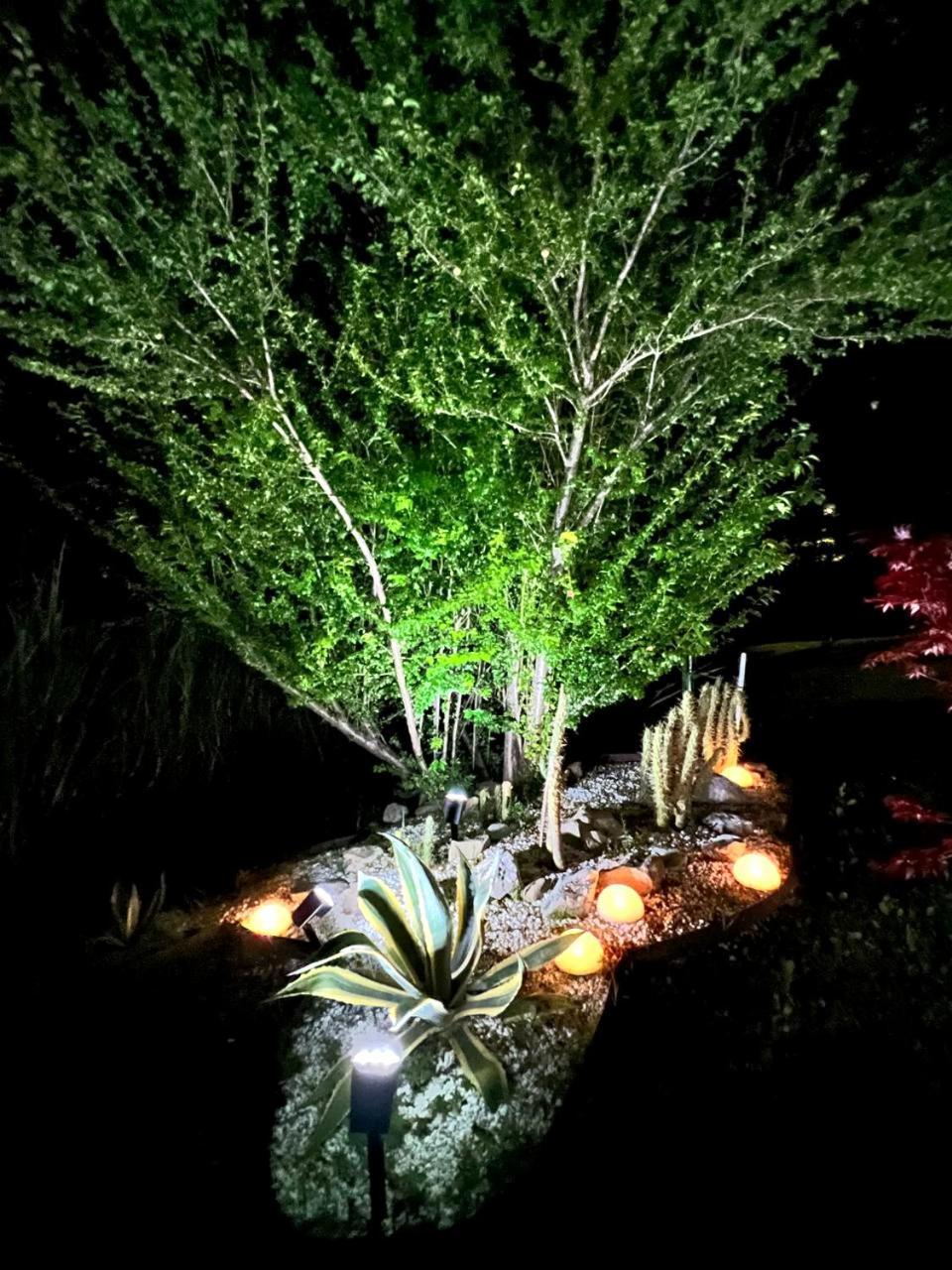 Gan Eden B&B San Benedetto Del Querceto Extérieur photo