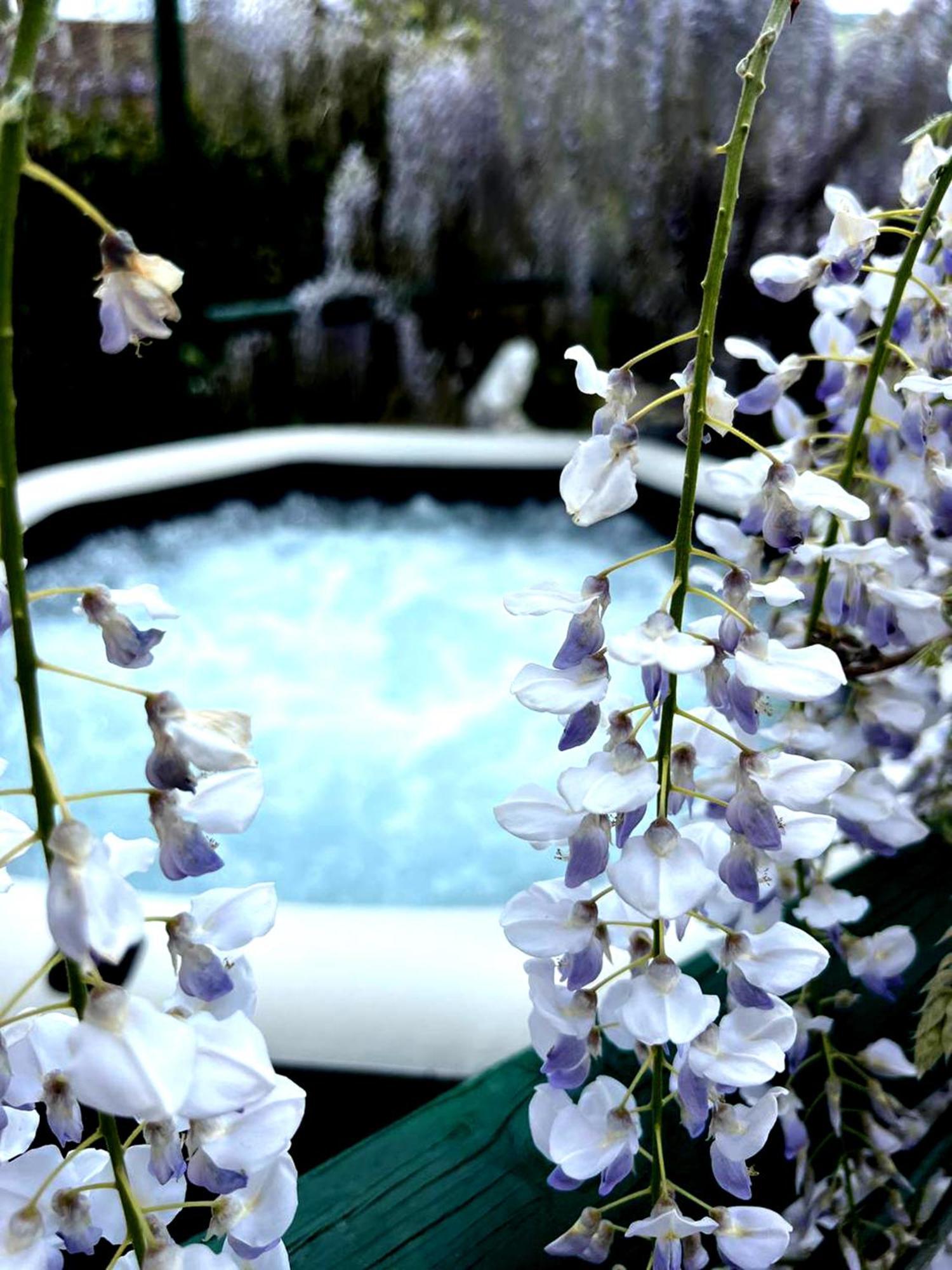 Gan Eden B&B San Benedetto Del Querceto Extérieur photo